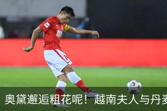 奥黛邂逅粗花呢！越南夫人与丹麦玛丽王后，外交红毯上演东西方美学碰撞